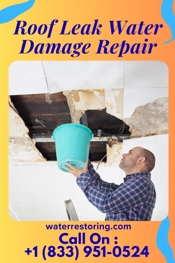 Roof Leak Water Damage Repair in Bloomfield, IL